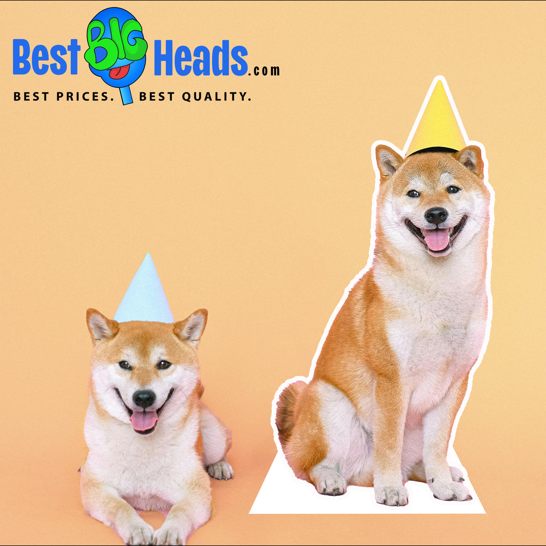  A photo of dogs celebrating a party in festive hats, as their owner marks their milestone with joy and unforgettable memories.