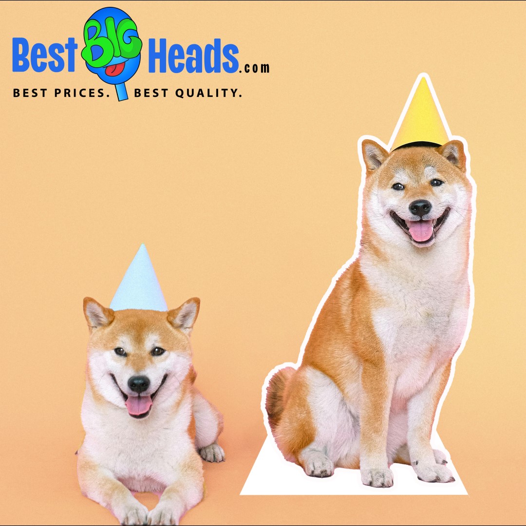 A happy Shiba Inu dog wearing a party hat, sitting next to a life-size standup cutout of itself against a peach background.